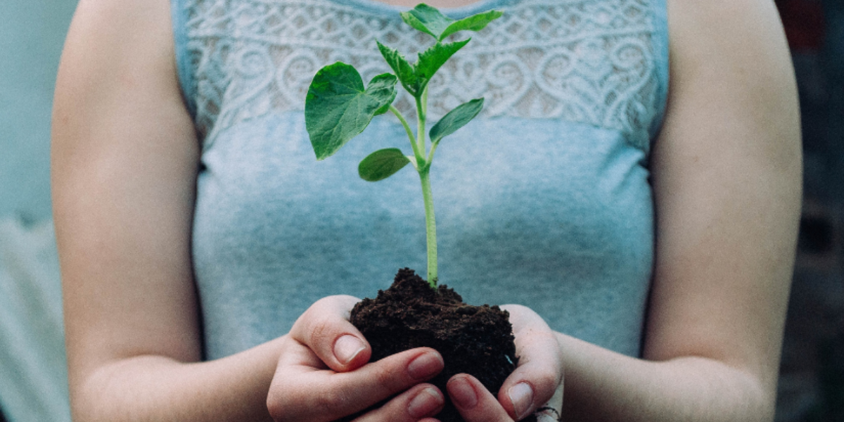 3-free-resources-that-equip-you-with-trauma-healing-basics
