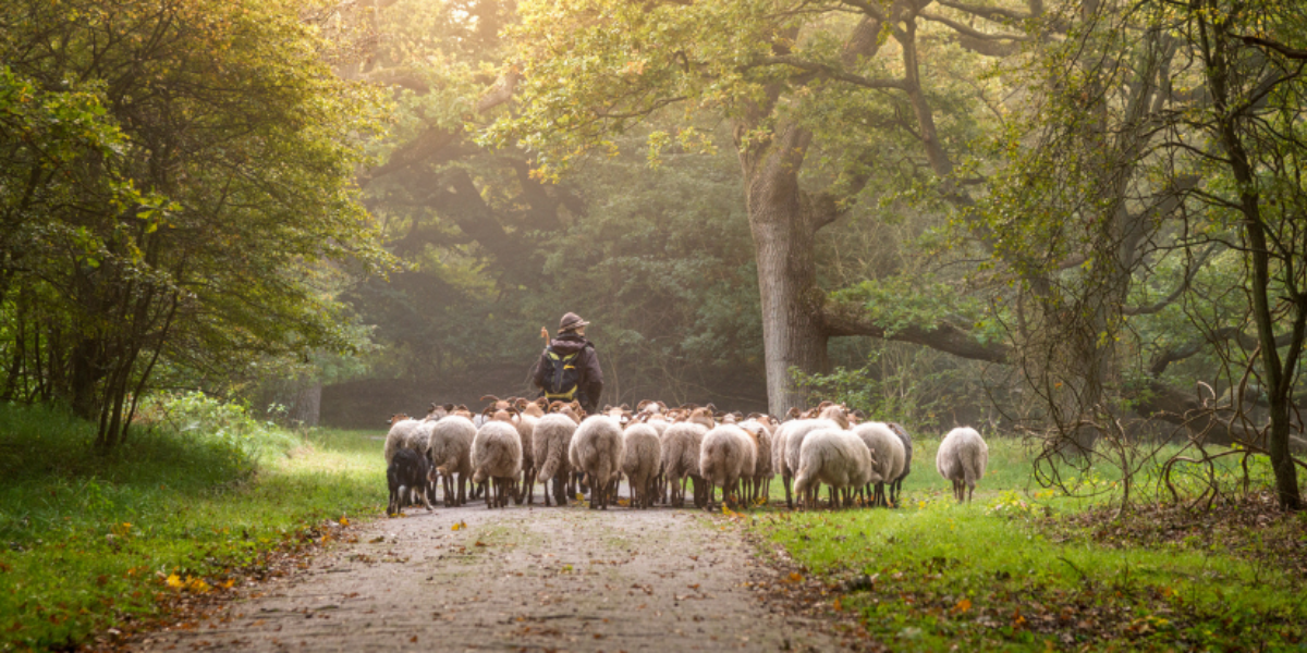 3-lessons-from-the-parables-of-jesus