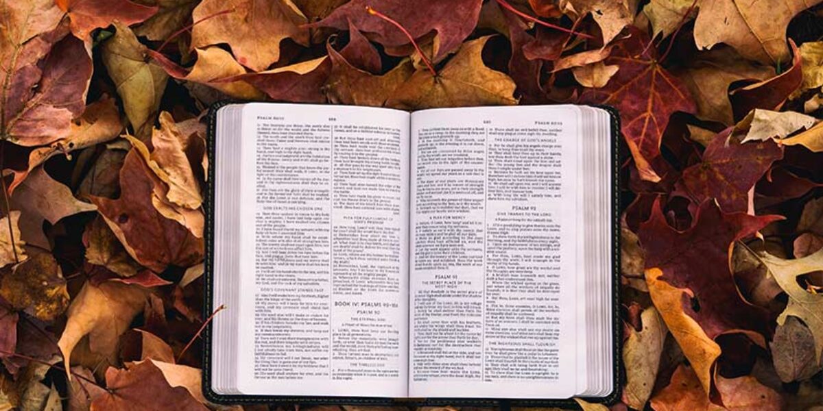 4-ways-to-pray-on-international-day-of-the-bible-american-bible-society-prayer-blog
