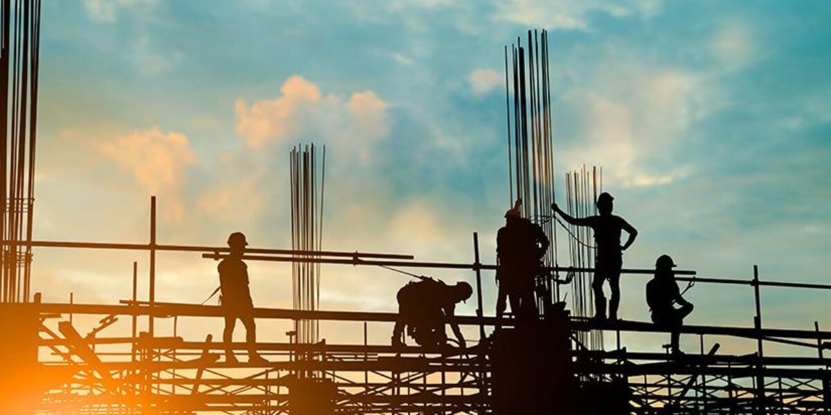 Constructor de la paz: Palabra del día