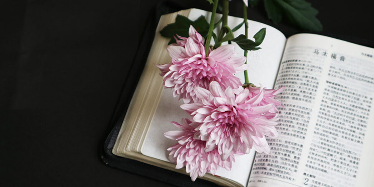 a-special-day-to-pray-for-bibles-and-people-american-bible-society-prayer-blog