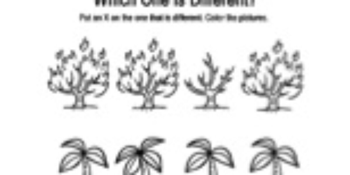 abs-bible-resource-coloring-sheets-egypt-differences_thumb