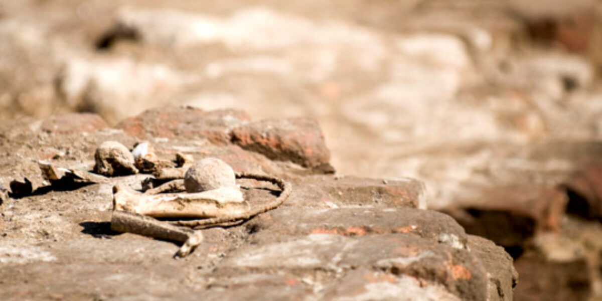 archeology_herocore