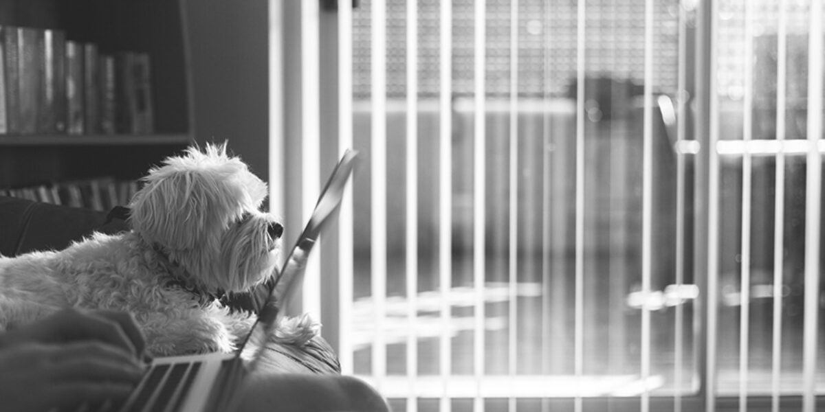 Bible Verses for Rest When You Need It Most