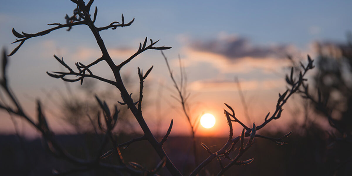 Bible Verses That Give Me Peace When I’m Anxious