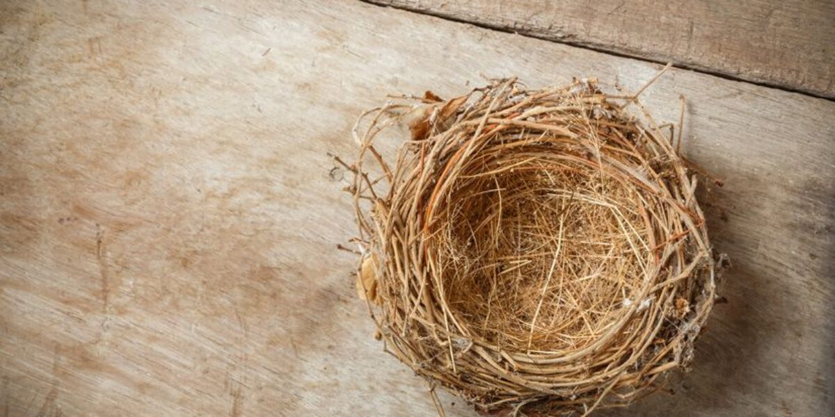 Dealing with an Empty Nest? 5 Verses to Ease the Loneliness