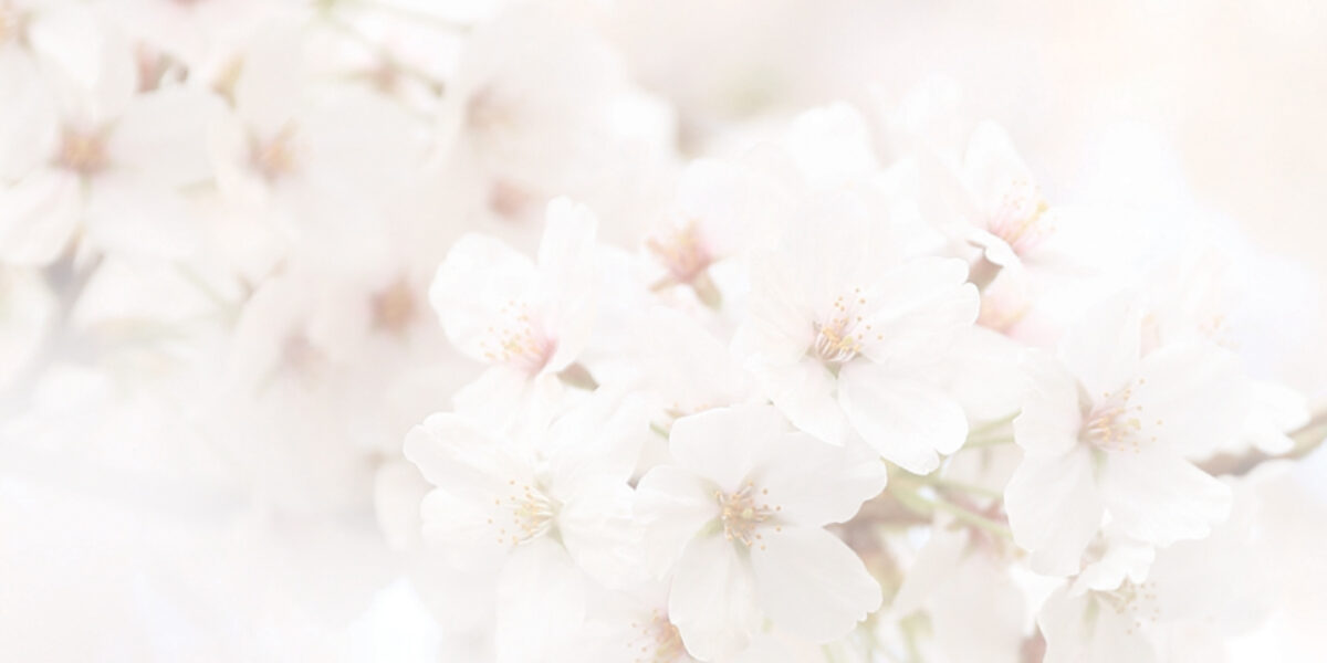 discover-joy-this-easter