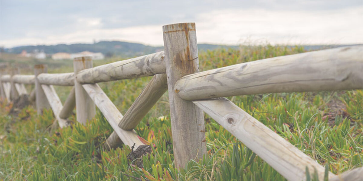 getting-past-chapter-breaks-american-bible-society-leadership-engagement-blog-sermon-scripture-fences