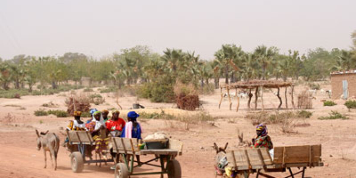 gnn_0608_mali_mn