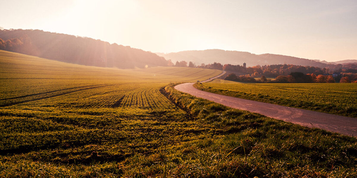how-one-man-turned-overlooked-assets-into-a-life-changing-gift-american-bible-society-gift-planning-planned-giving-blog-farm-land-donor-advised-fund
