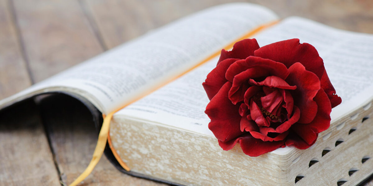 how-to-find-true-love-in-the-bible-leaders-leadership-pastor-blog-american-bible-society-bible-verses-valentines-day