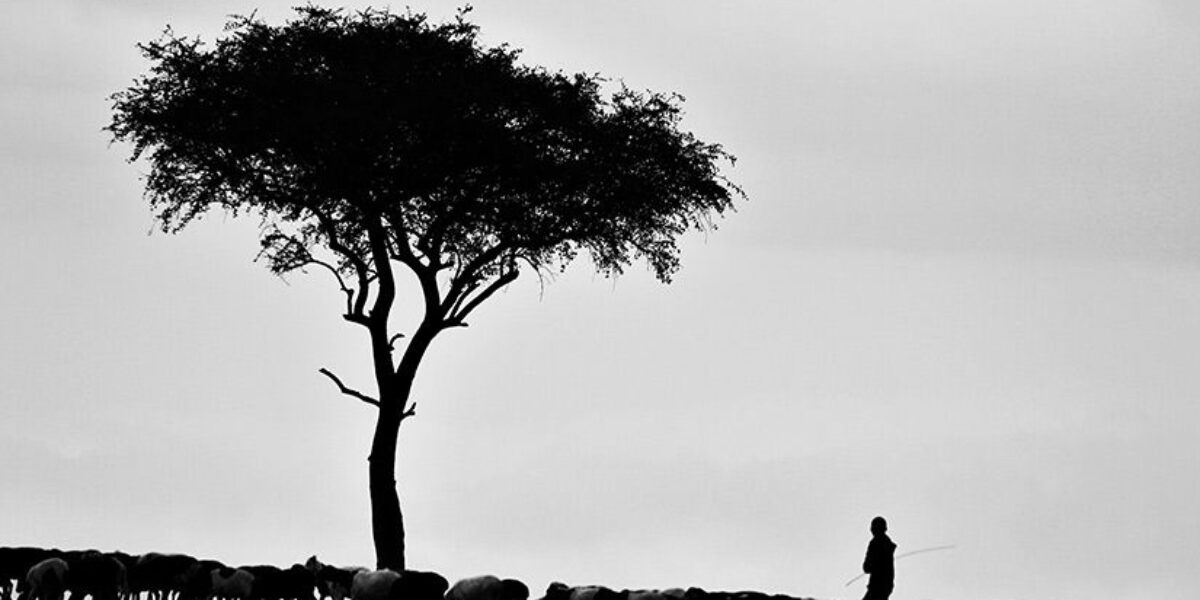 How to Unlock the Bible’s Poetry