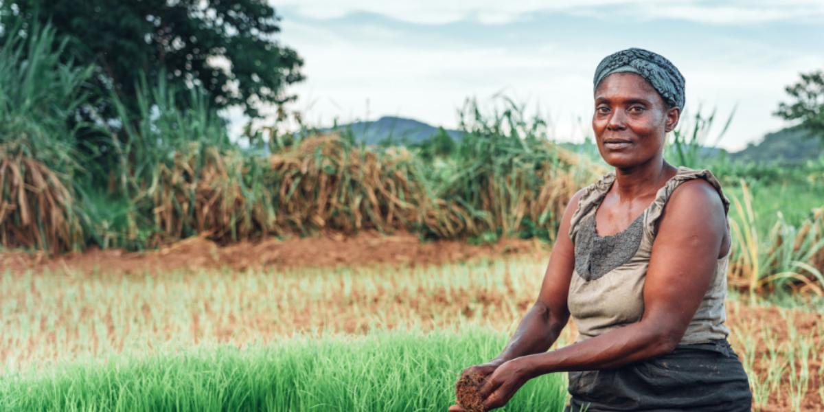 how-you-can-pray-for-bibleless-people-around-the-world