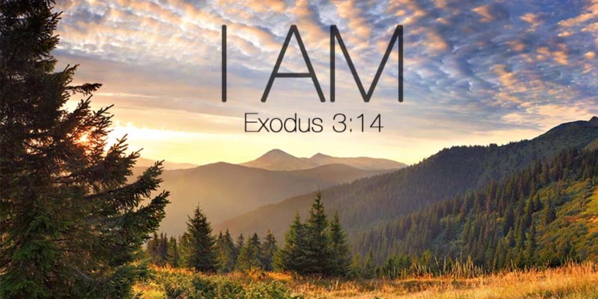 8  Ways Jesus Reveals His Identity to Us