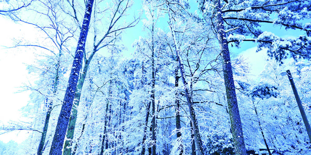 lightstock_75409_max_user_865093