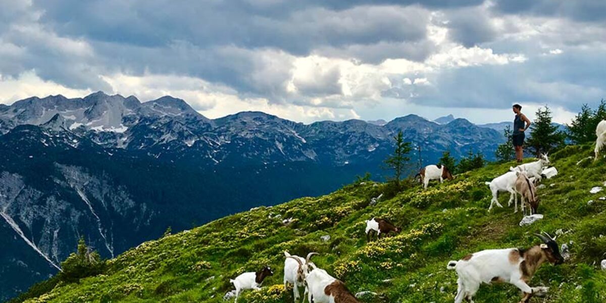 new-bible-translation-reaches-slovenian-teens-american-bible-society-prayer-blog