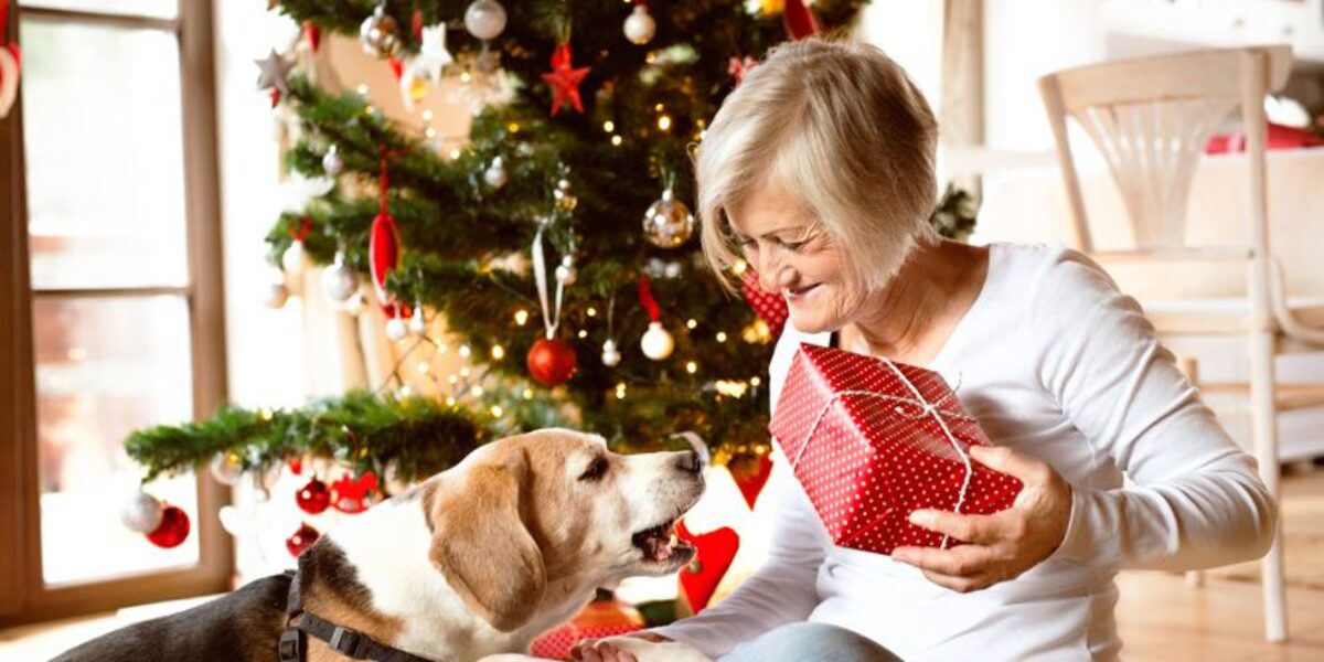 Not Enough Money for Christmas? Rediscover Joy