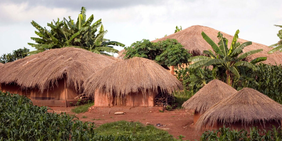 pray-as-a-bible-translation-in-malawi-nears-finish-line-american-bible-society-prayer-blog-request-international