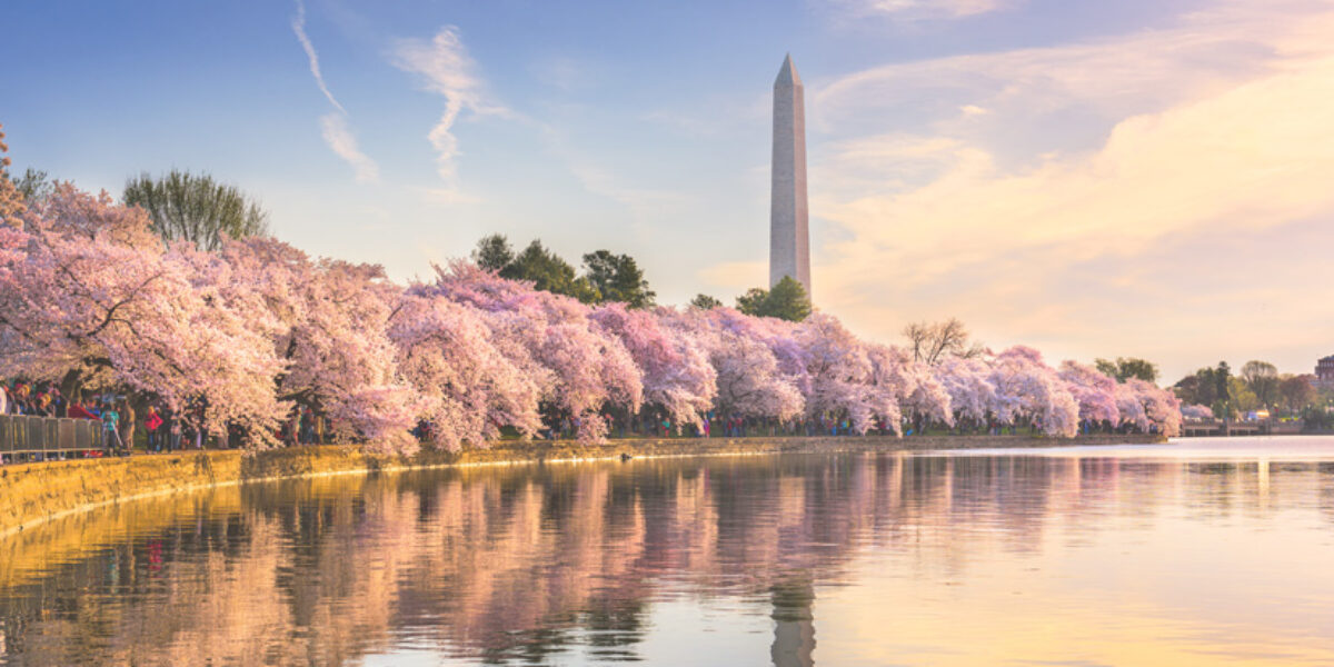 pray-for-us-government-leaders-as-they-attend-the-national-prayer-breakfast-american-bible-society-prayer-blog-monument