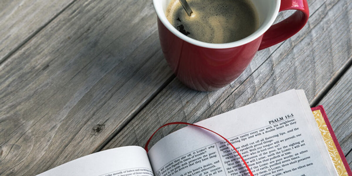 reading-the-bible-less-like-a-reference-book-more-like-a-story-bible-engagement-leadership-leaders-blog-biblica-glenn-paaauw-american-bible-society
