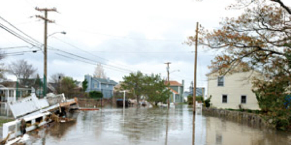 sandy_article