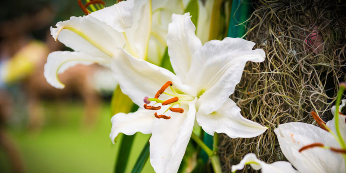 today-read-the-improbable-story-of-jesus-resurrection