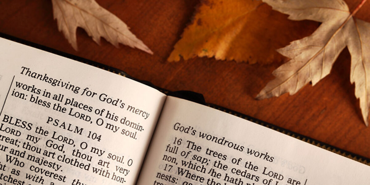 what-does-thanksgiving-mean-thankful-thankfulness-psalms-charis-colossians-romans-american-bible-society-leaders-leadership-blog-give-thanks