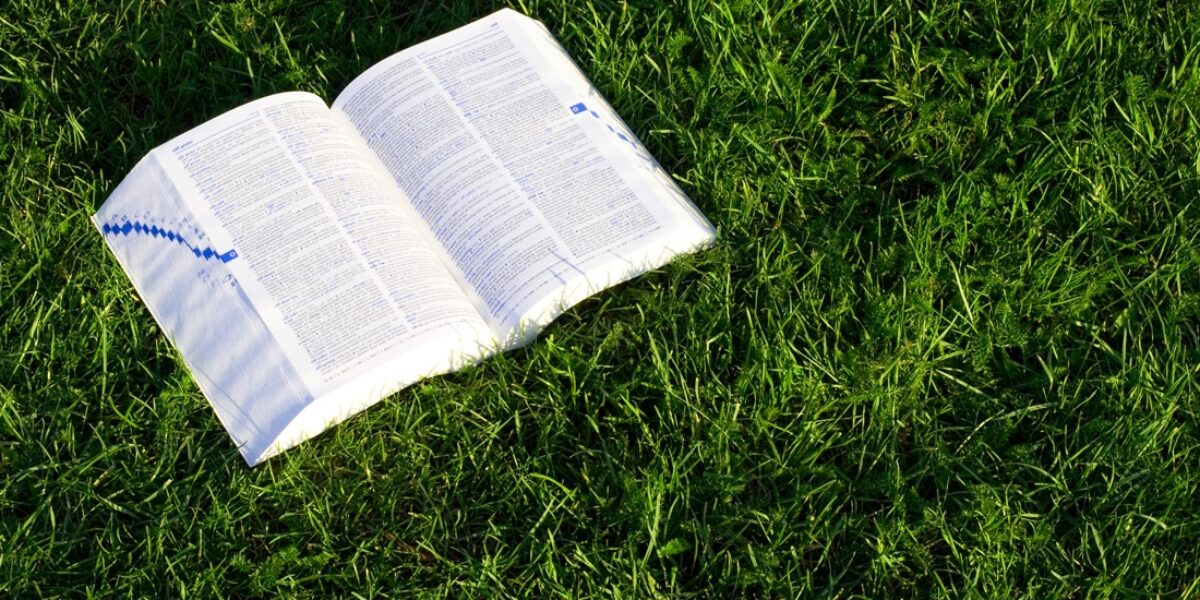What Does the Bible Say About Earth Day?