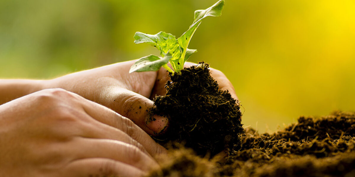 what-is-a-charitable-trust-american-bible-society-planned-giving-gift-planning-legacy-remainder-lead-charity