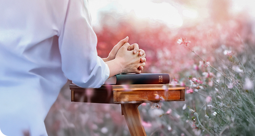 First Bible Image