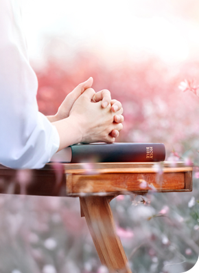 First Bible Image